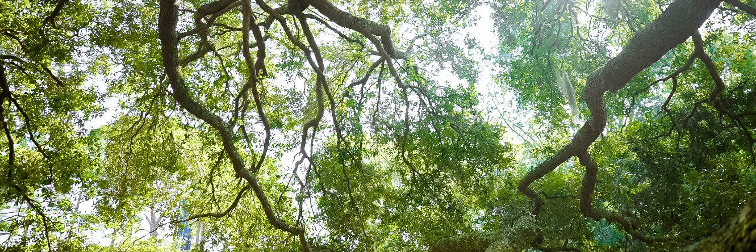 UNCW Research banner