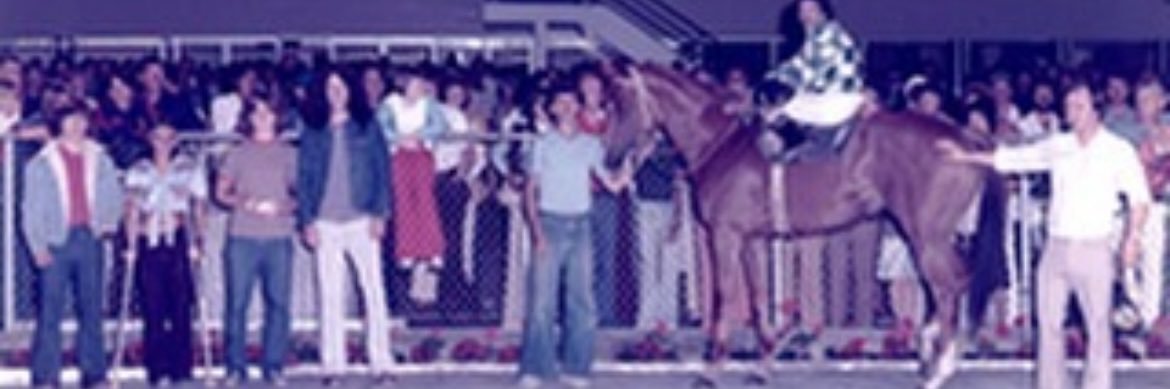 Wayne Isbister banner