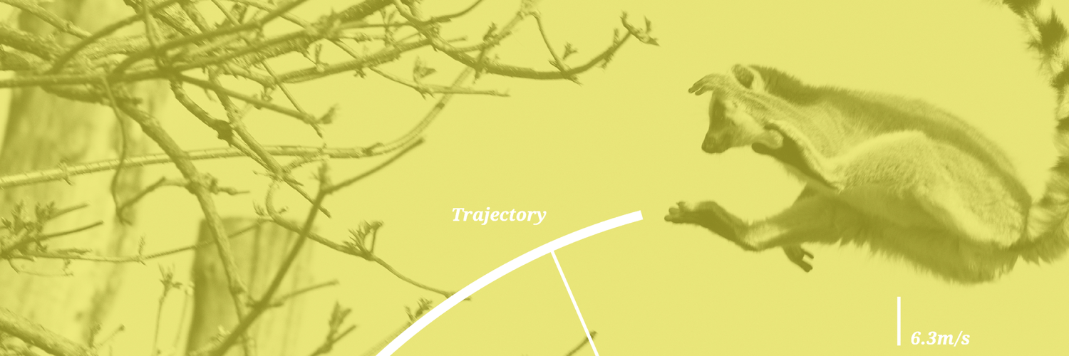 TStadnik's profile banner image