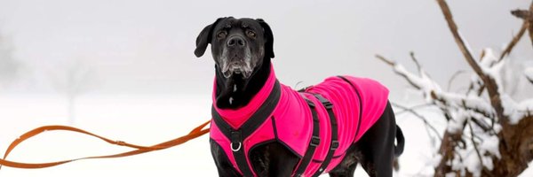 van_derreh Profile Banner