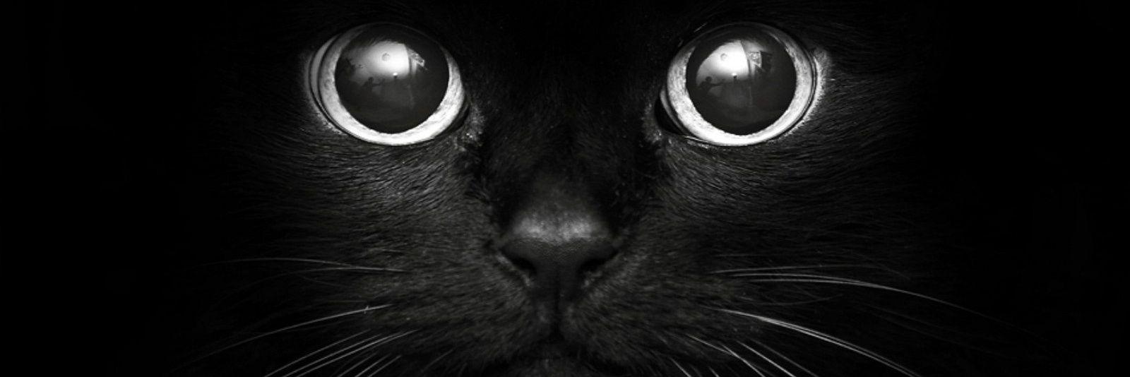 LauraAlvarezO's profile banner image