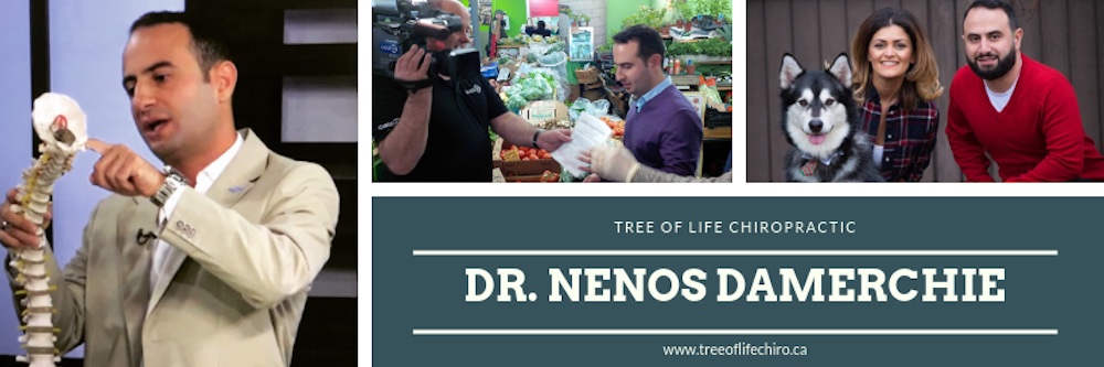 Nenos Damerchie, DC banner