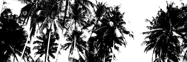 Continentseven Profile Banner