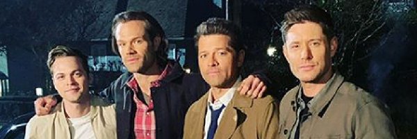 Purplewolf1314 Profile Banner