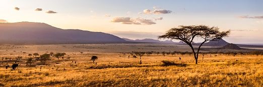 zpchikati's profile banner image