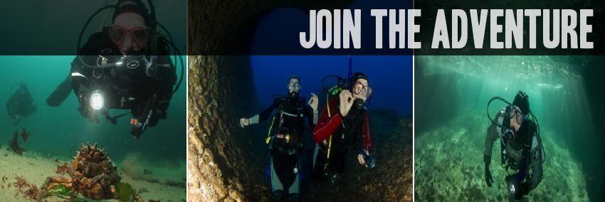 divingireland's profile banner image