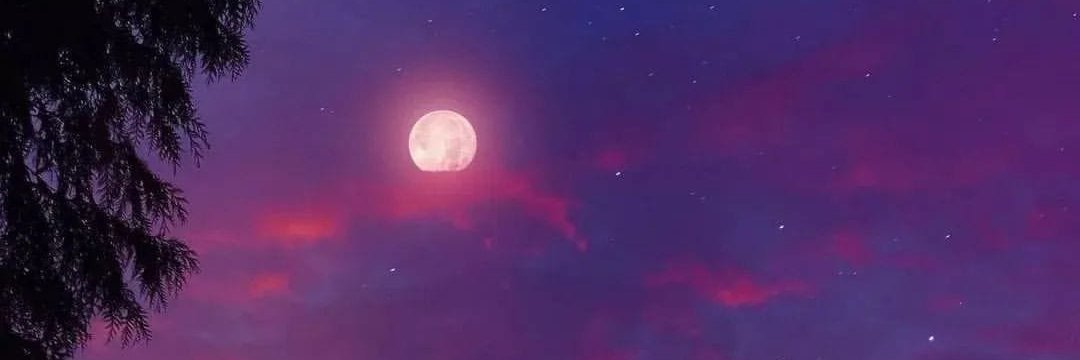 Moonmavs's profile banner image