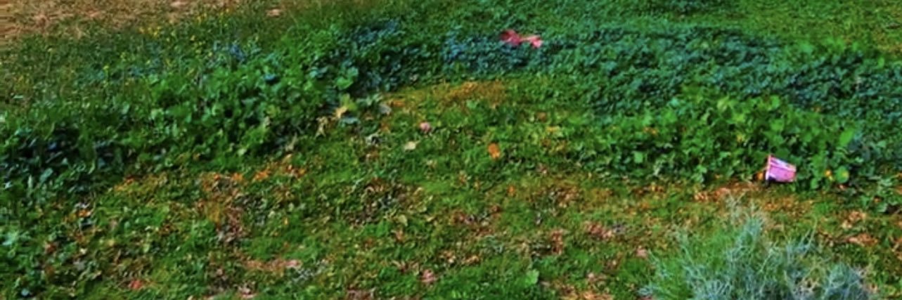 haillle1's profile banner image