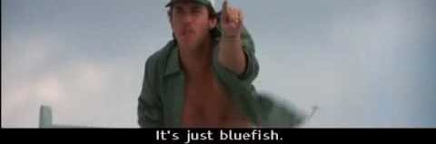 ItsJustBluefish's profile banner image