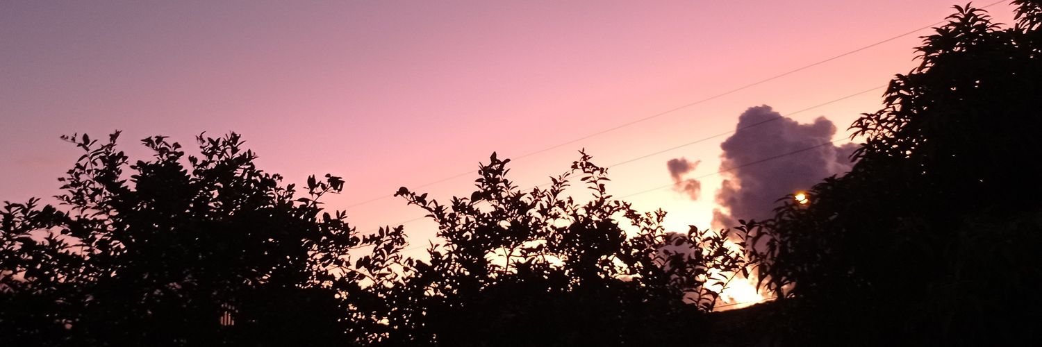 nanyluz's profile banner image