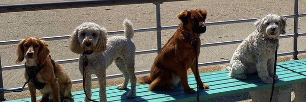 cfb_18 Profile Banner