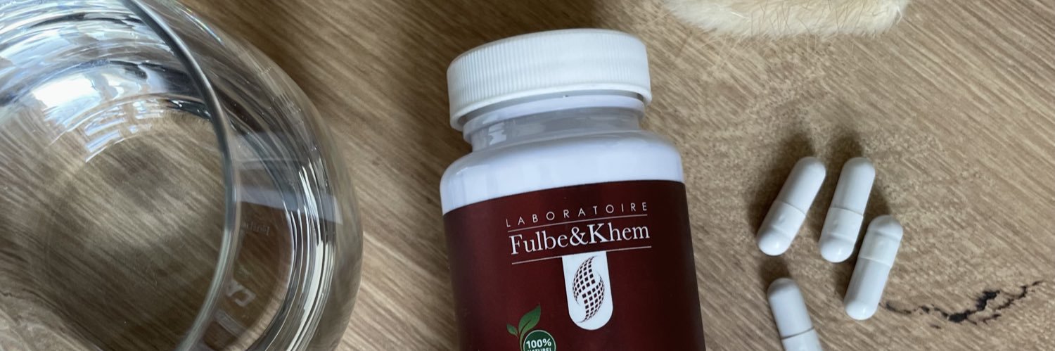 FulbeKhem's profile banner image