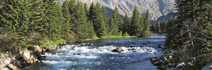 Tim Mullen 🇪🇺🇺🇦 banner