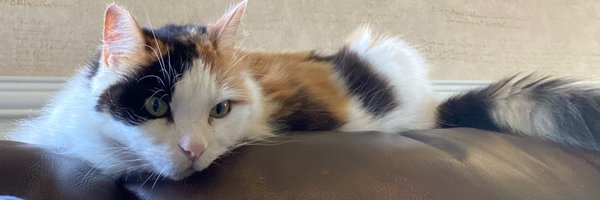 JB22103 Profile Banner