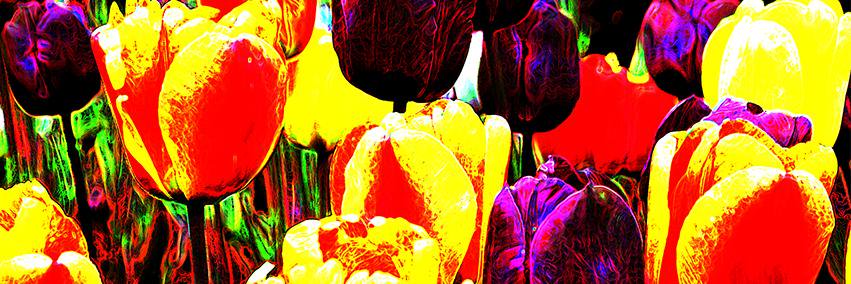 Studio3018's profile banner image