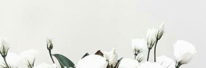 VeronicaMars94's profile banner image