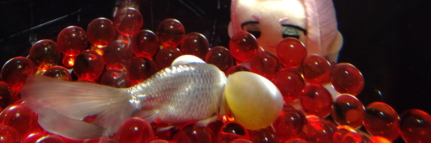 toyai649's profile banner image