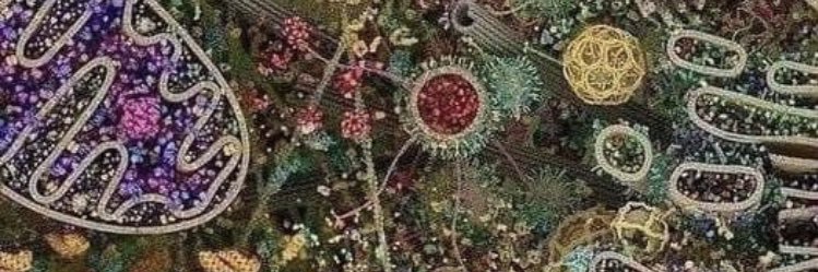 AzorNarra's profile banner image
