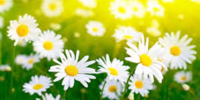 katelynnjoyce's profile banner image
