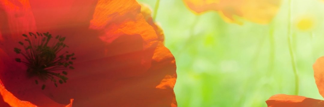 Ray_NSKD's profile banner image