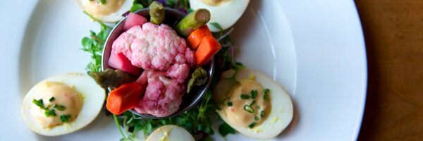 TheSouthernSOS Profile Banner