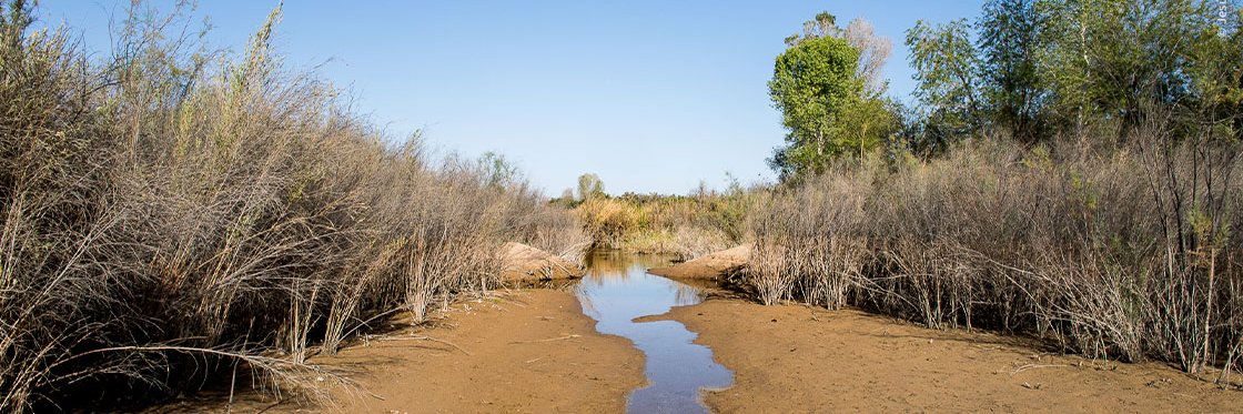 Hiram de la Peña banner