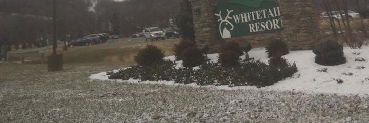 JorgeLoz314's profile banner image