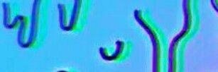 _bhalves's profile banner image