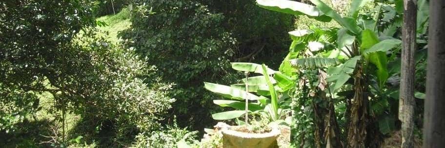 kenyerli2's profile banner image