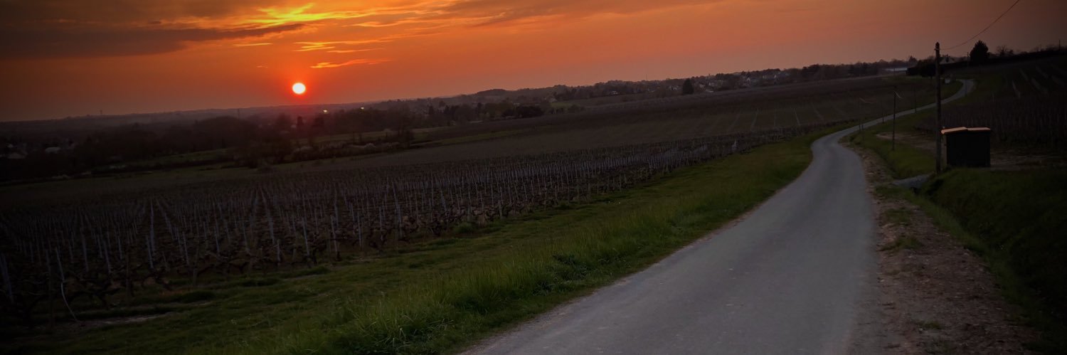 Julien Hippocrate banner