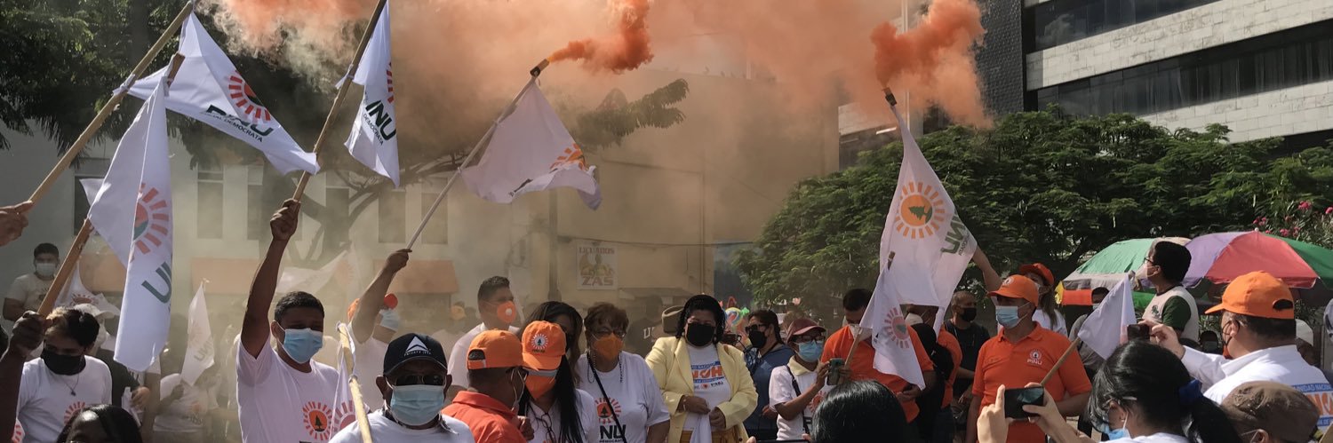 PINU-SD HONDURAS banner