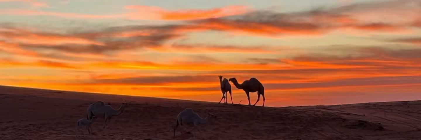 فيصل العطيه banner