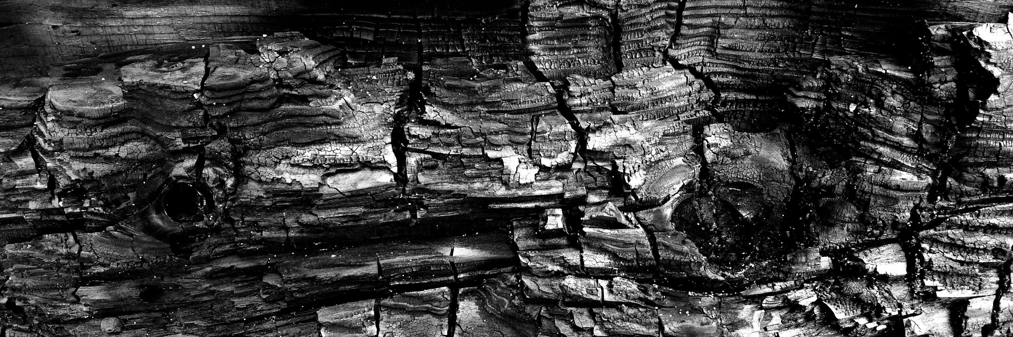 dpschwartz81's profile banner image