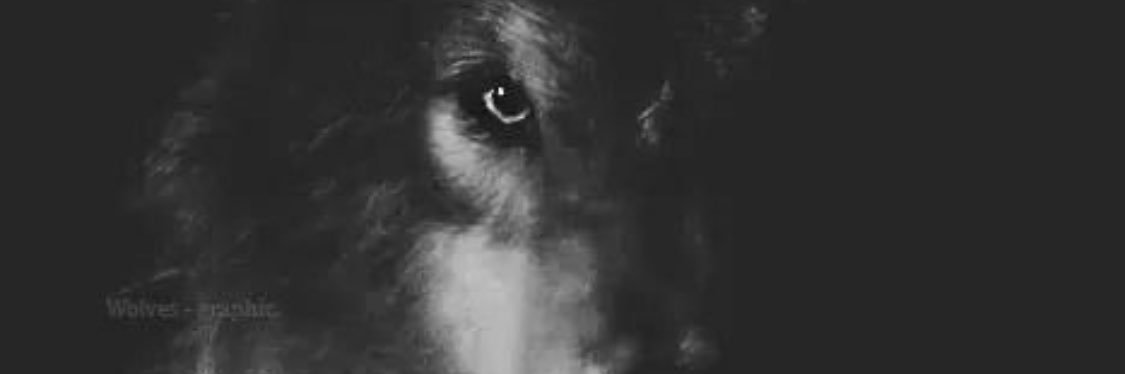 laulann34's profile banner image