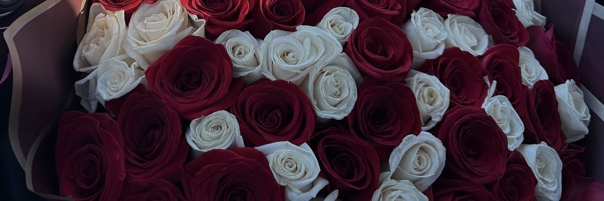jassainz's profile banner image