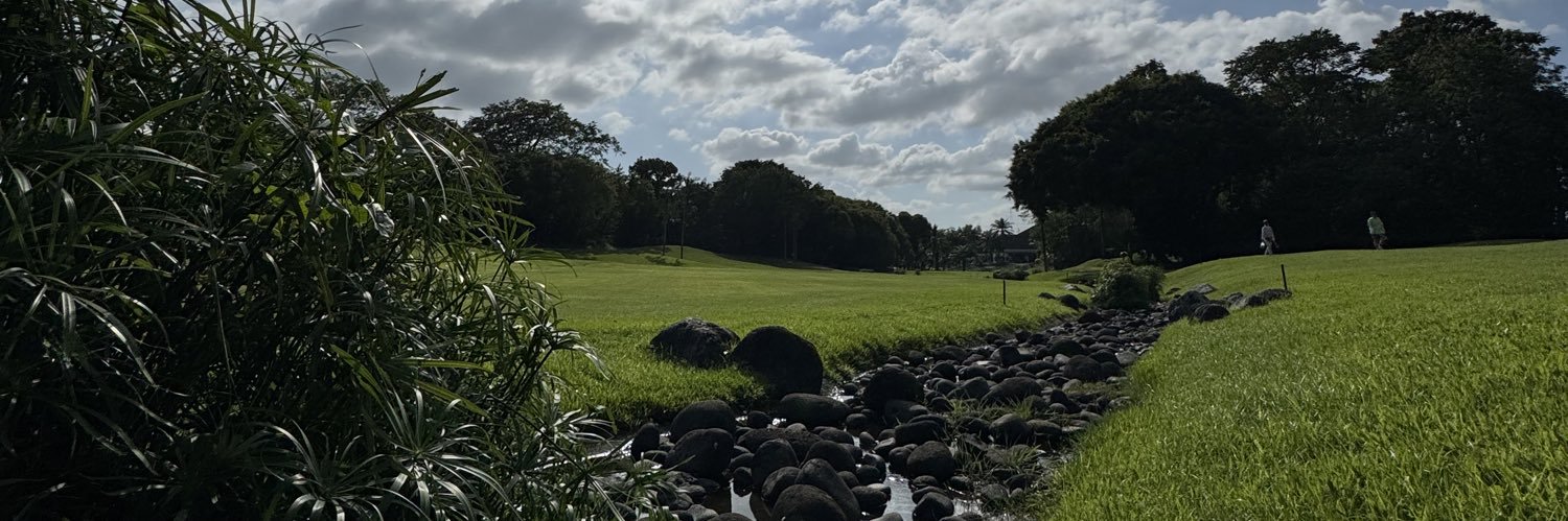 ronalddab2's profile banner image