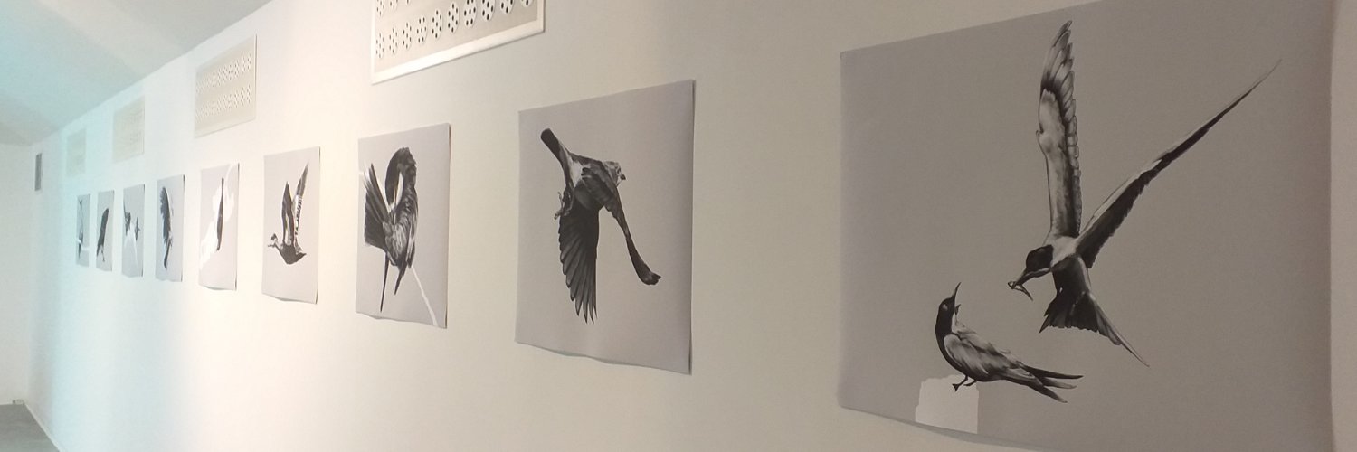 Birb_Grandma's profile banner image