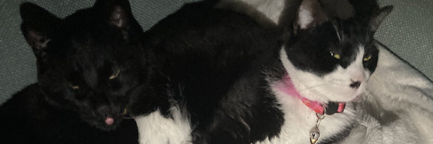 TheRealGMayes51's profile banner image