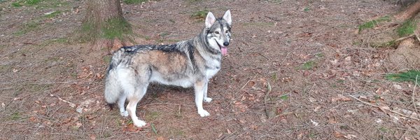 JGilders Profile Banner