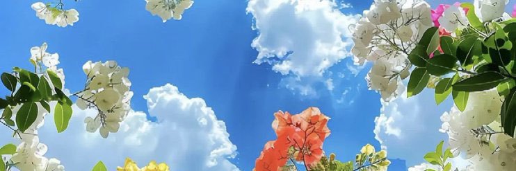 Le_Everything_'s profile banner image