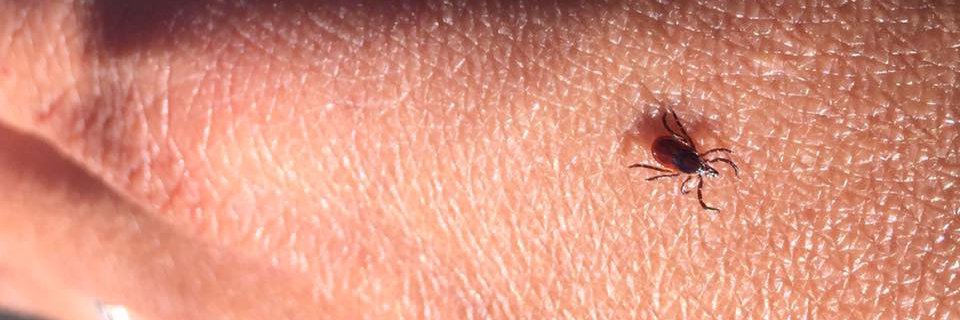 Neeta Pardanani Connally banner