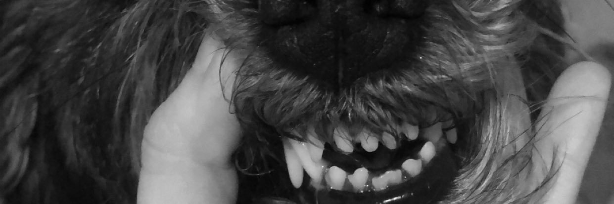 shmydney_'s profile banner image
