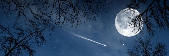nuria5656's profile banner image