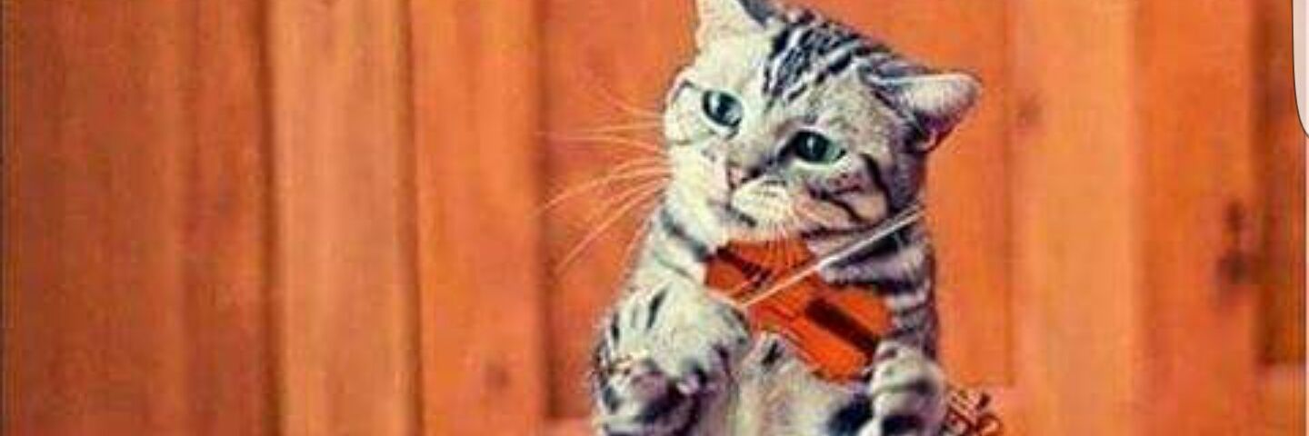 didi2283's profile banner image