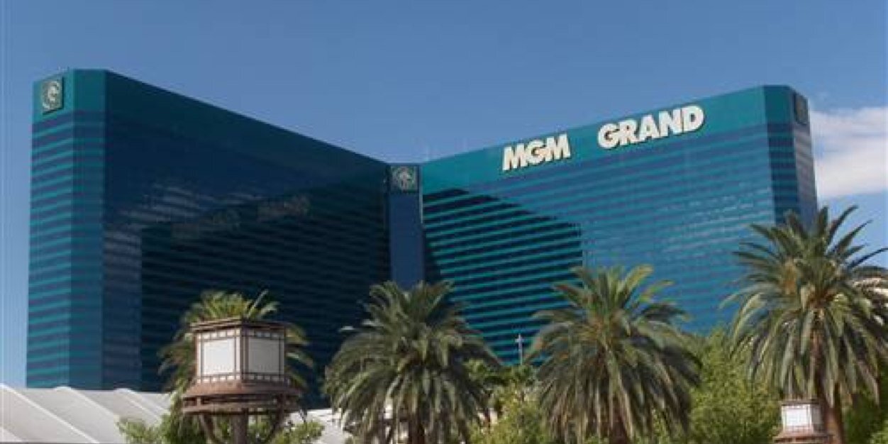 lui sarrington banner