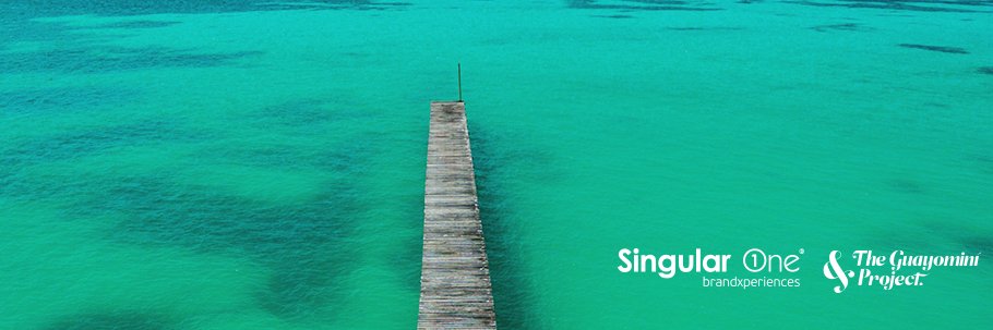 Singular_One's profile banner image