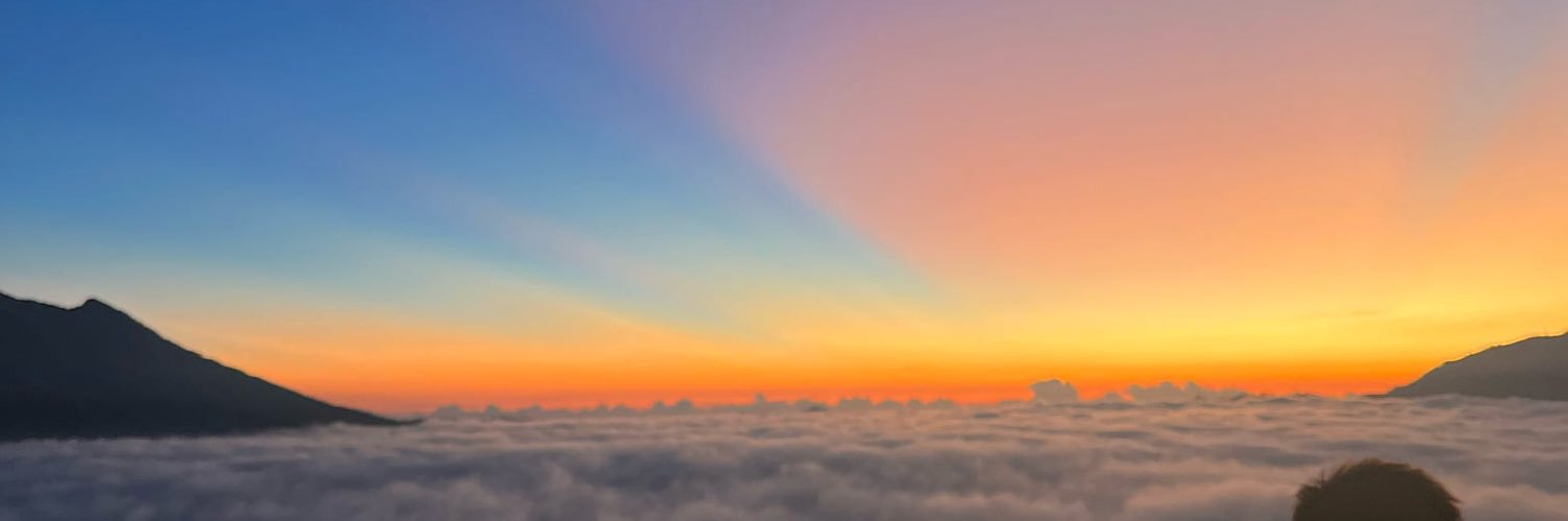 Helena Meally banner