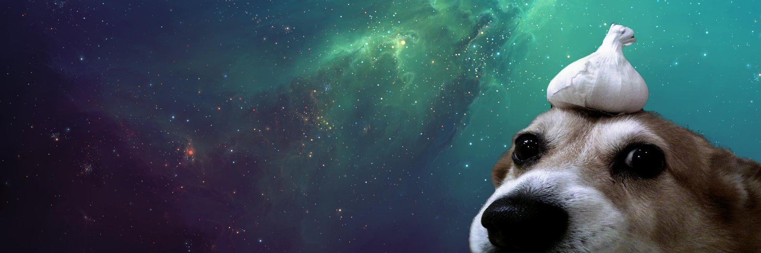 Leïla 🐝🍍 banner