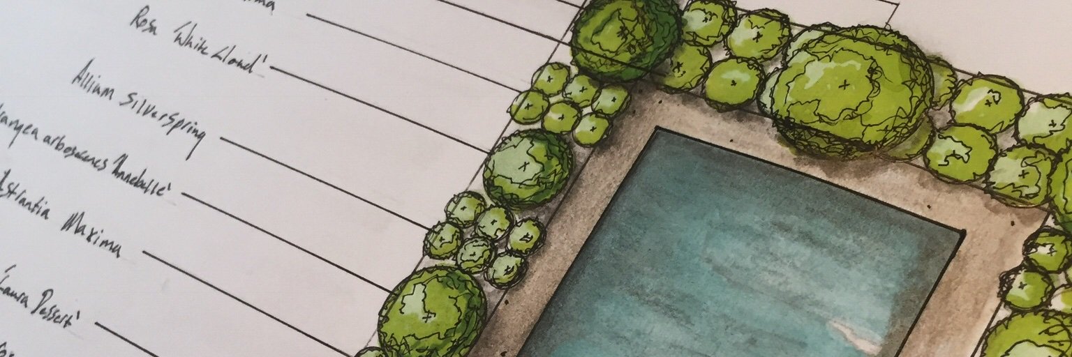 scholey_william's profile banner image