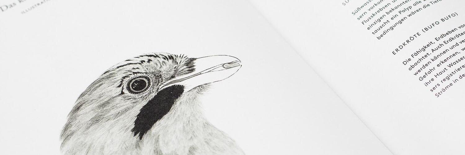 LOREM (not Ipsum) banner